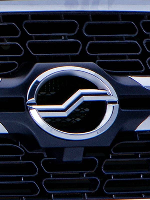 Parrilla cromada con el emblema de ZX Auto